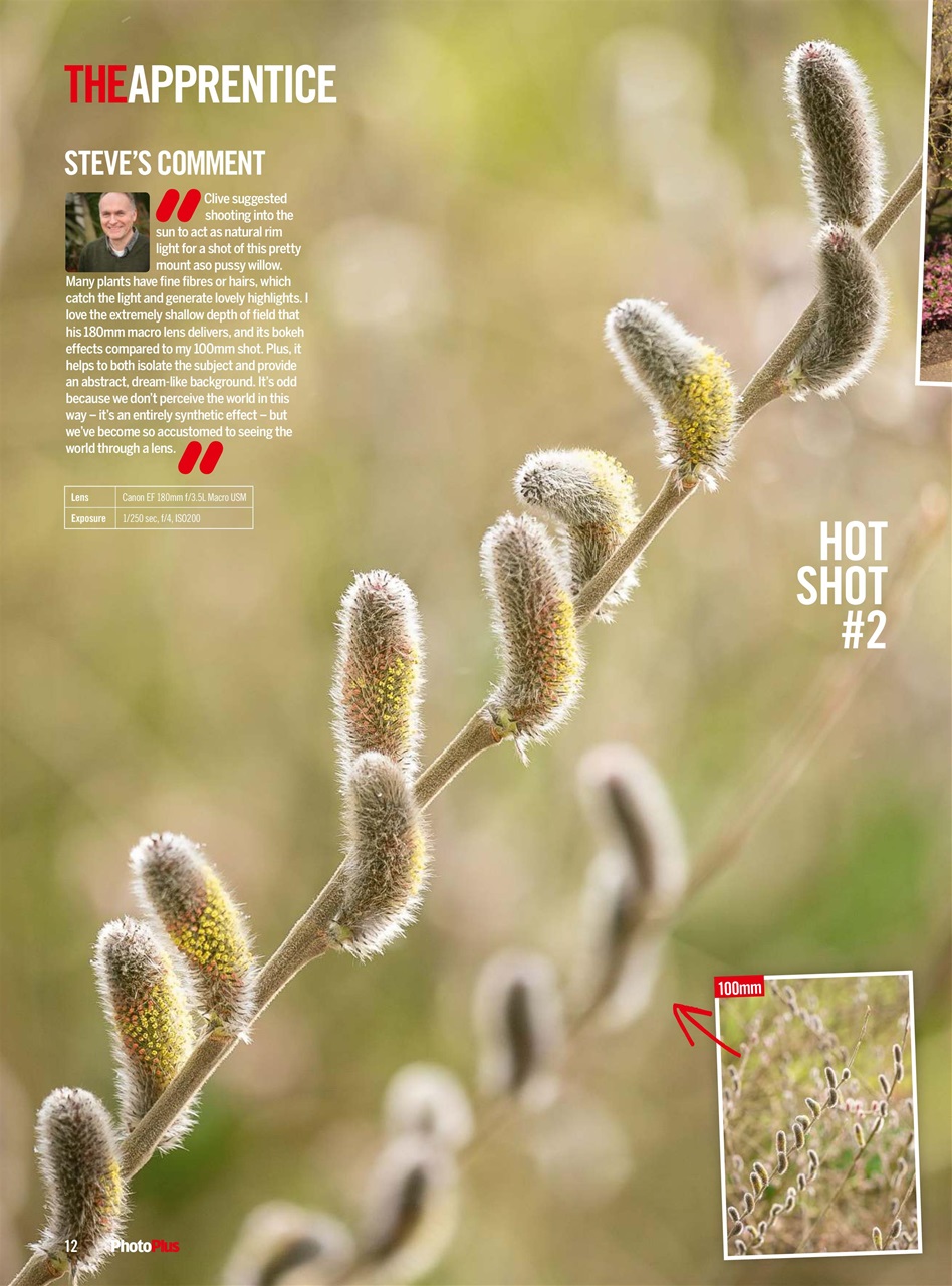 PhotoPlus Preview Pages