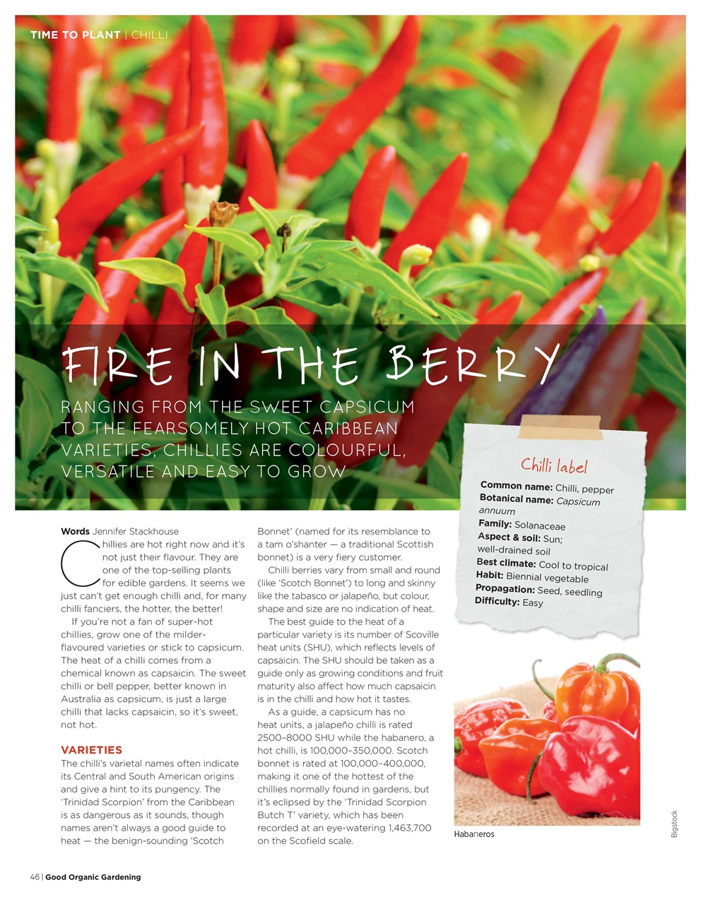 Good Organic Gardening Preview Pages