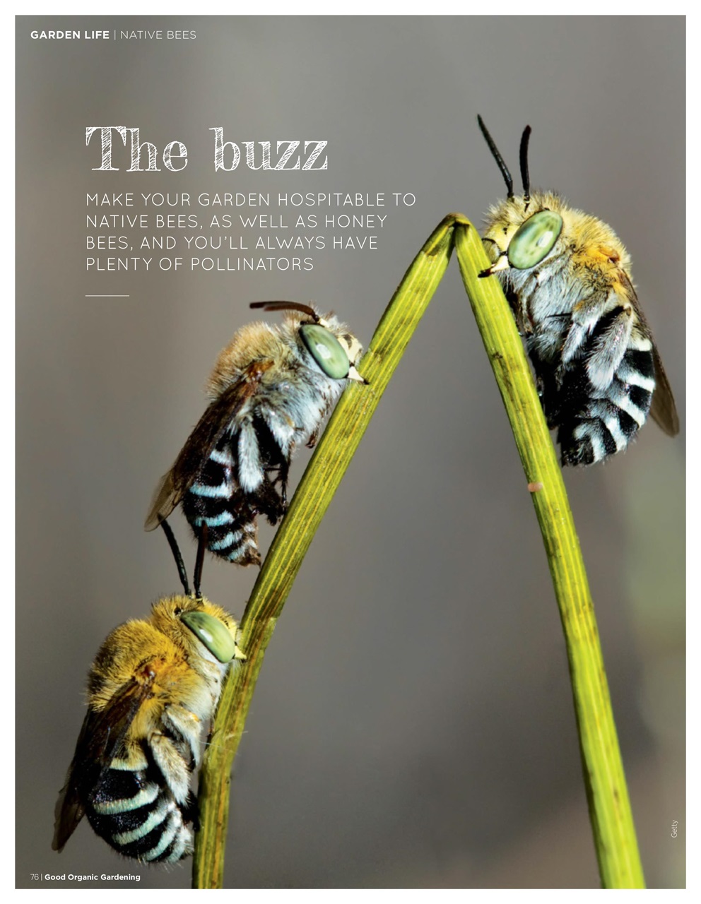 Good Organic Gardening Preview Pages