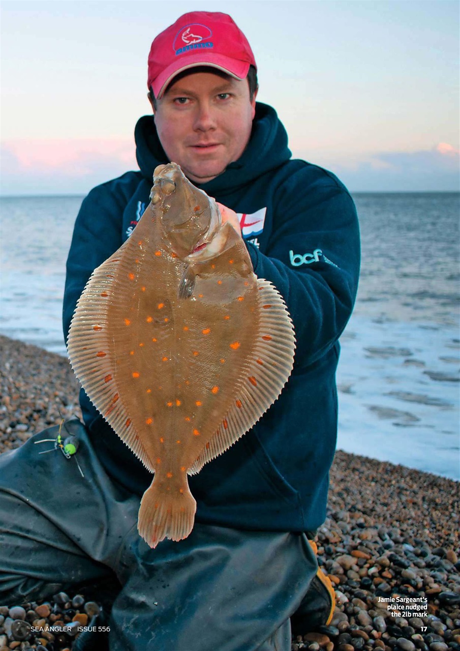 Sea Angler Preview Pages