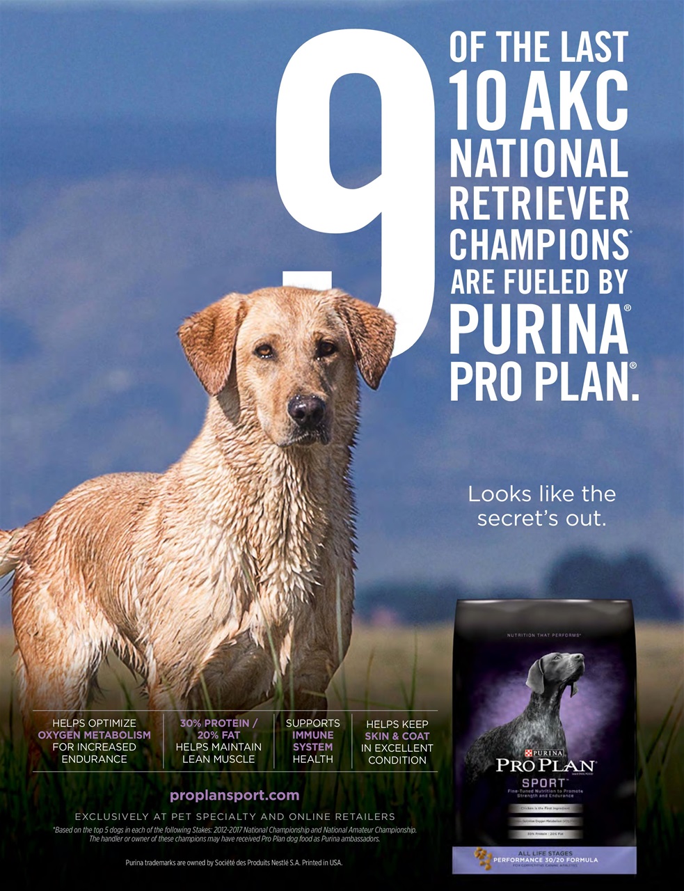 American Waterfowler Preview Pages
