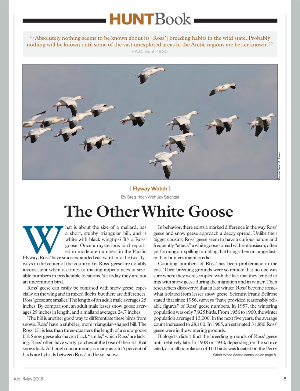 American Waterfowler Preview Pages