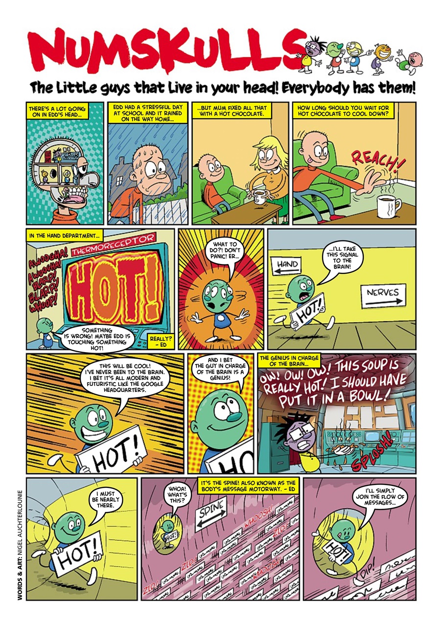 Beano Preview Pages