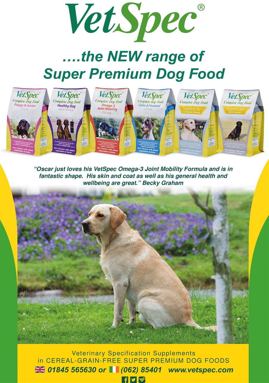 Dogs Monthly Preview Pages