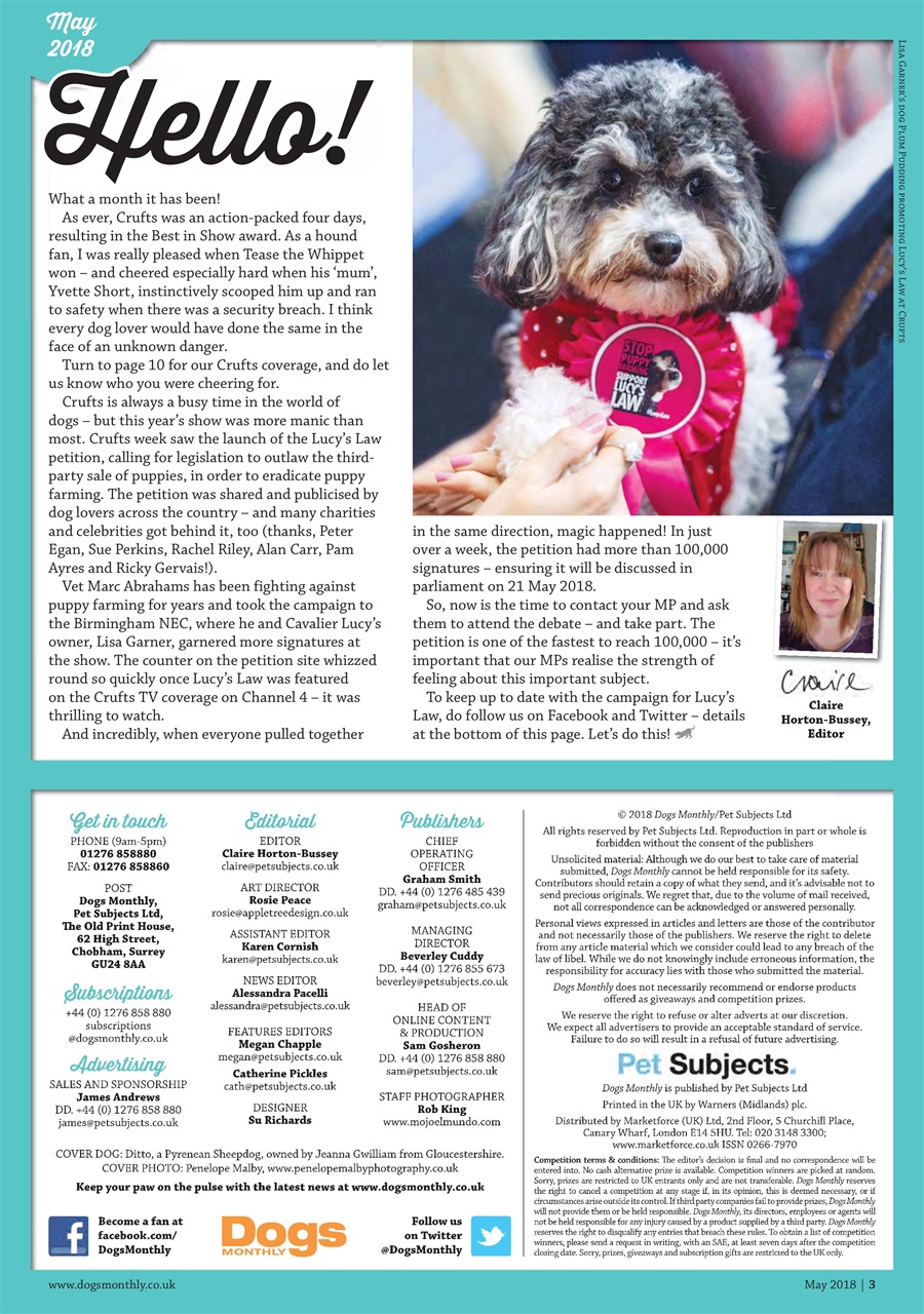 Dogs Monthly Preview Pages