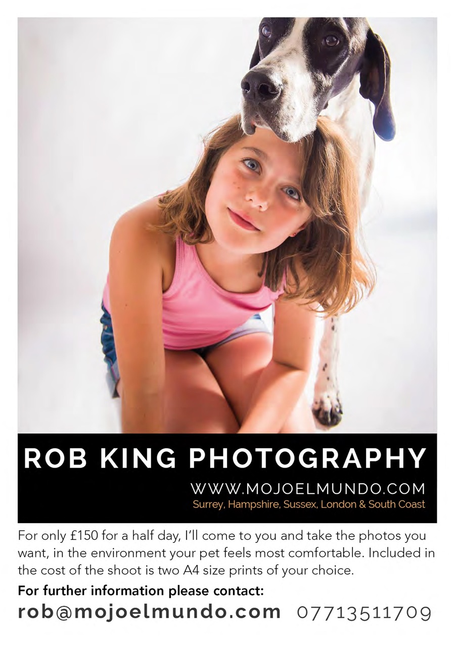 Dogs Monthly Preview Pages