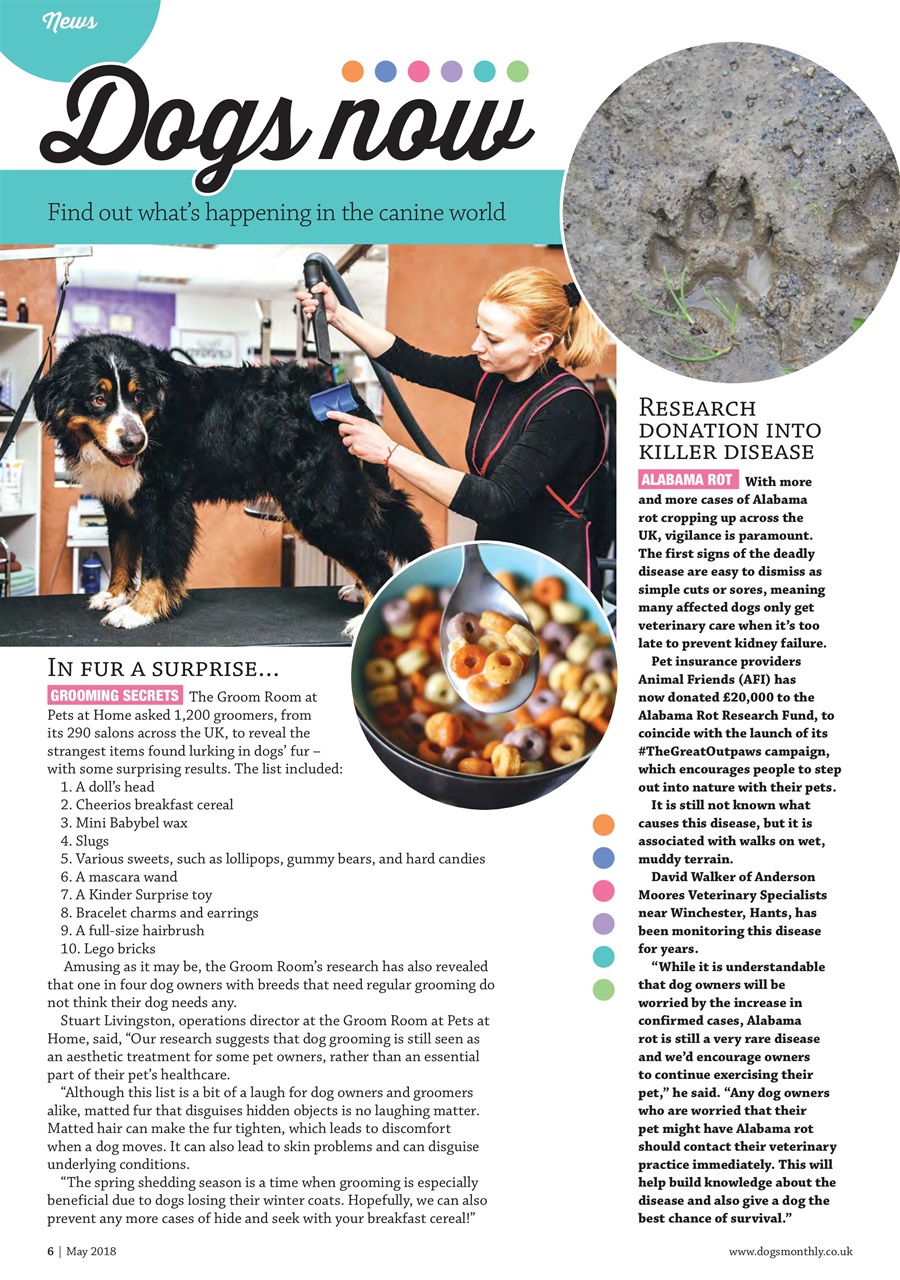 Dogs Monthly Preview Pages