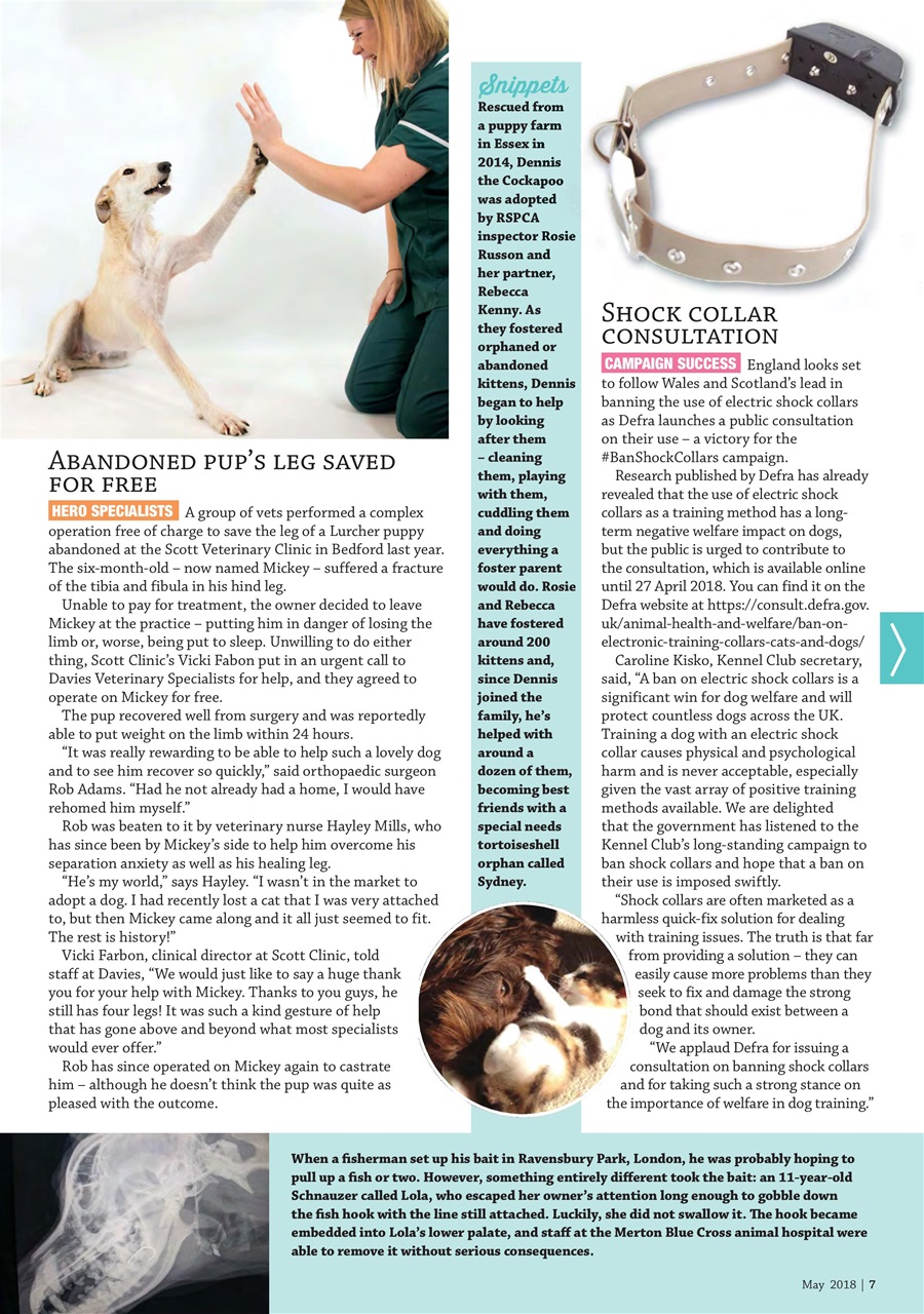 Dogs Monthly Preview Pages