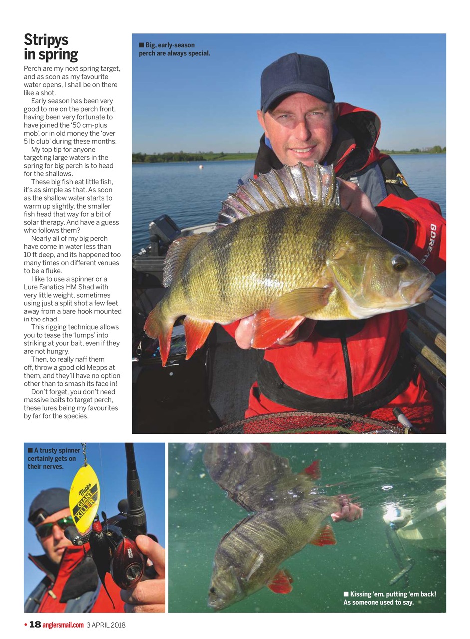 Anglers Mail Preview Pages