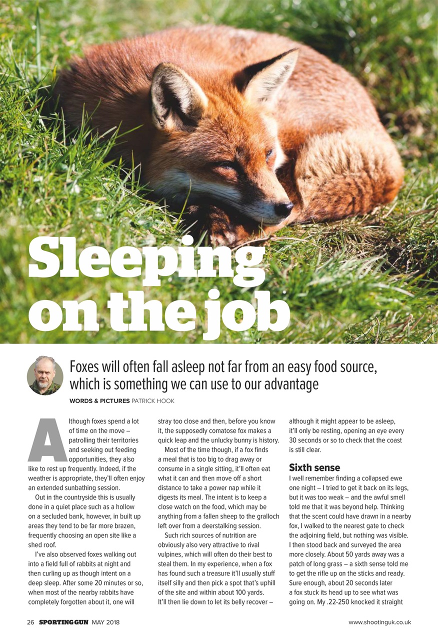 Sporting Gun Preview Pages