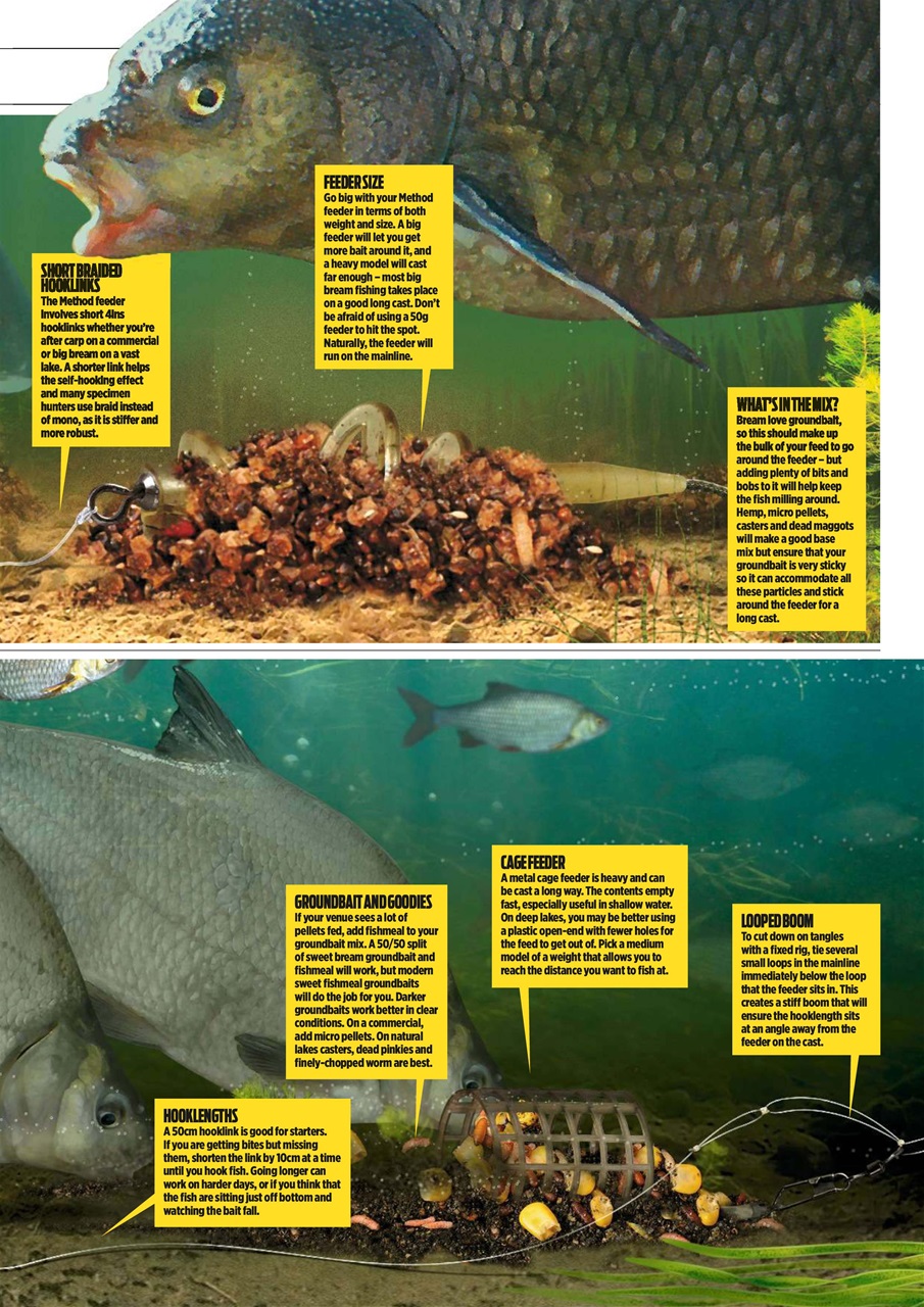 Angling Times Preview Pages