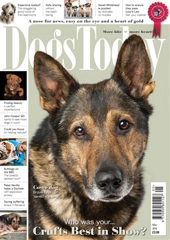 Dogs Today Magazine issue May 2018