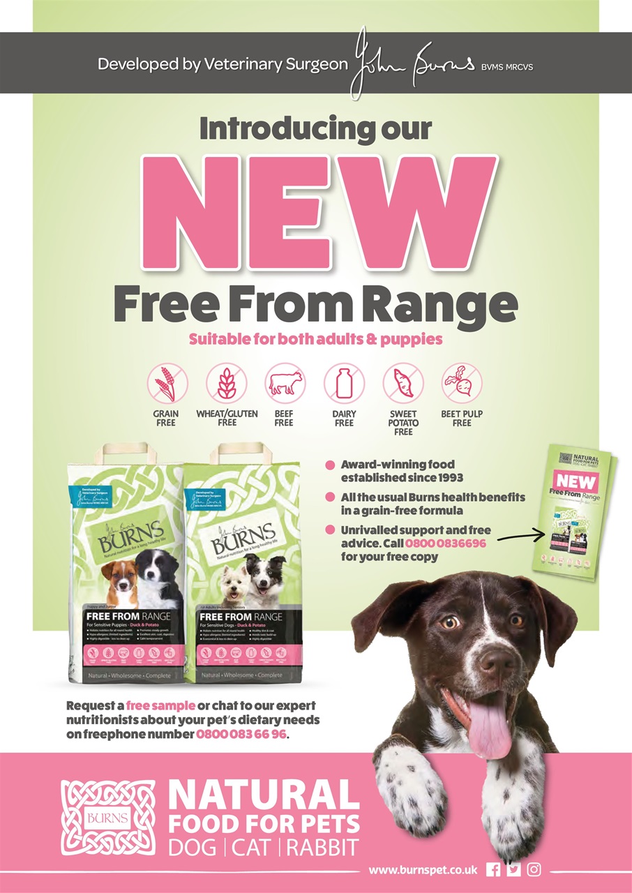 Dogs Today Magazine Preview Pages