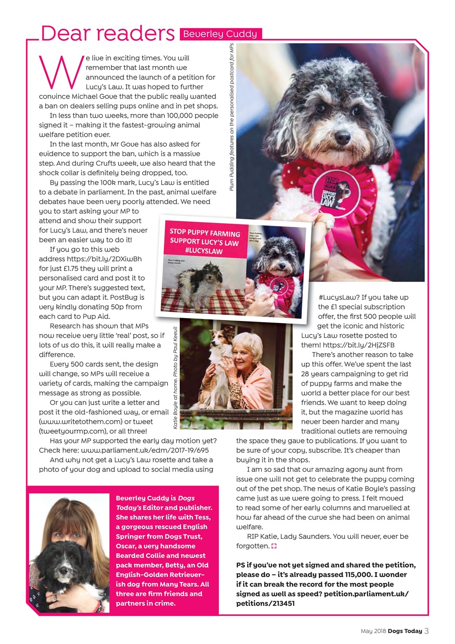 Dogs Today Magazine Preview Pages