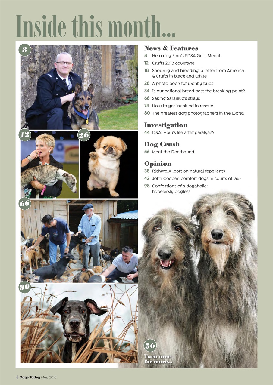 Dogs Today Magazine Preview Pages