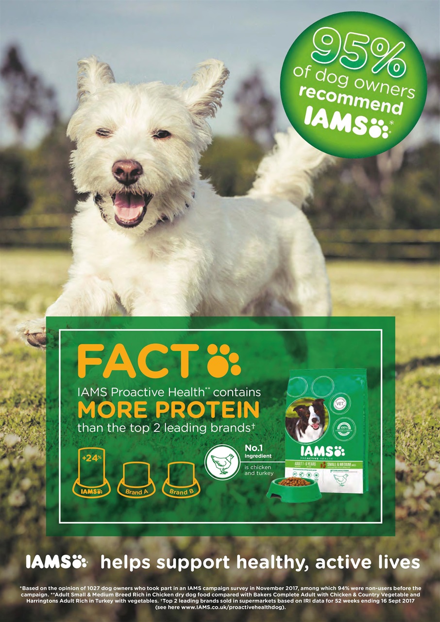 Dogs Today Magazine Preview Pages