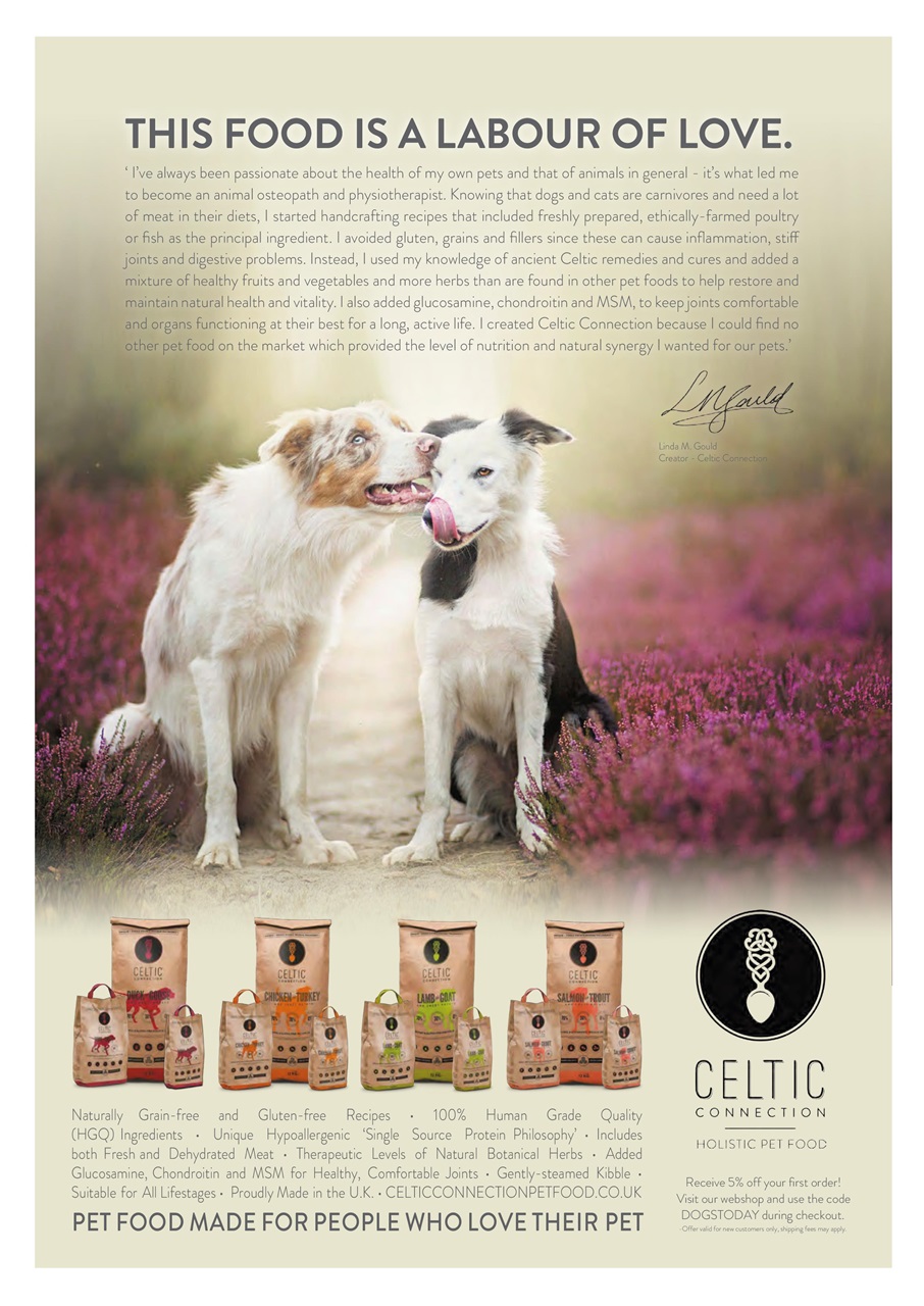 Dogs Today Magazine Preview Pages