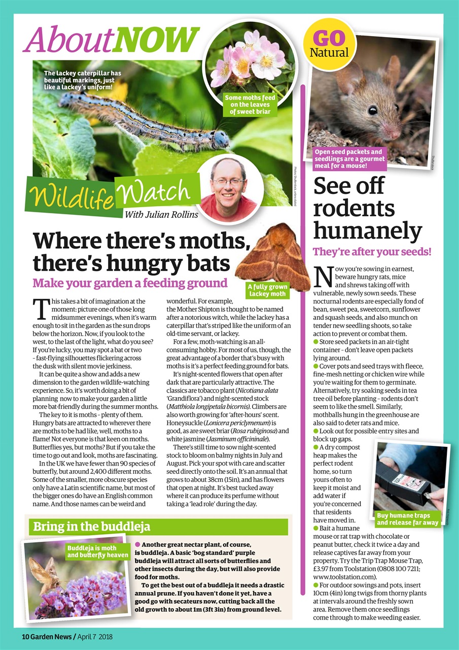 Garden News Preview Pages