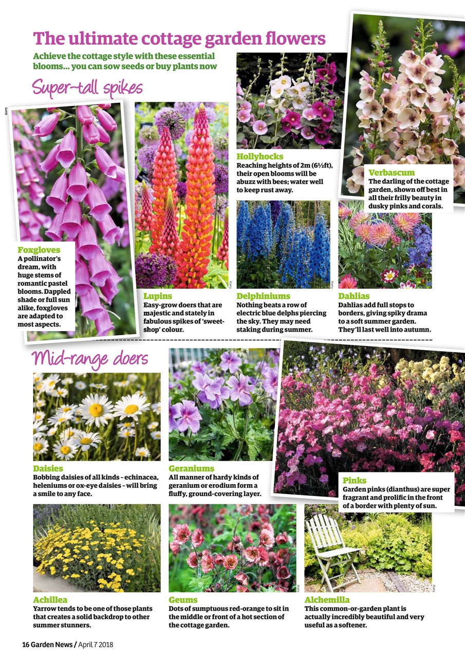 Garden News Preview Pages