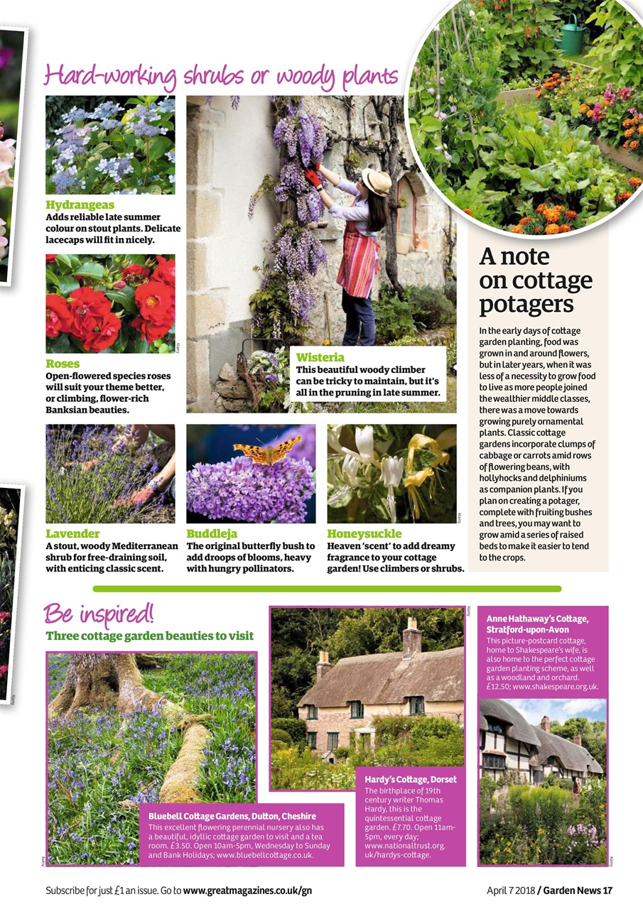 Garden News Preview Pages