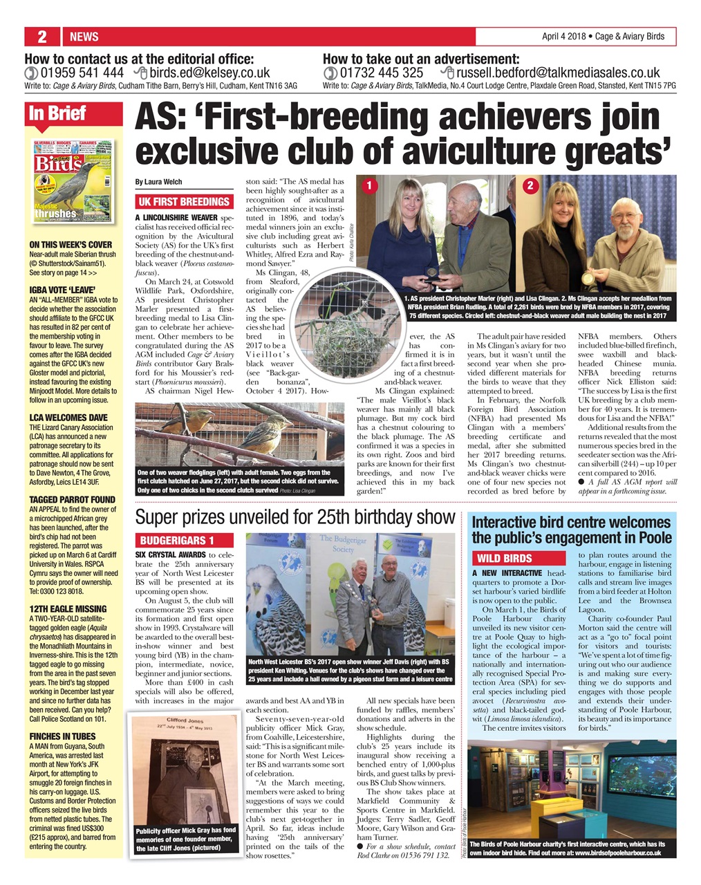 Cage & Aviary Birds Preview Pages