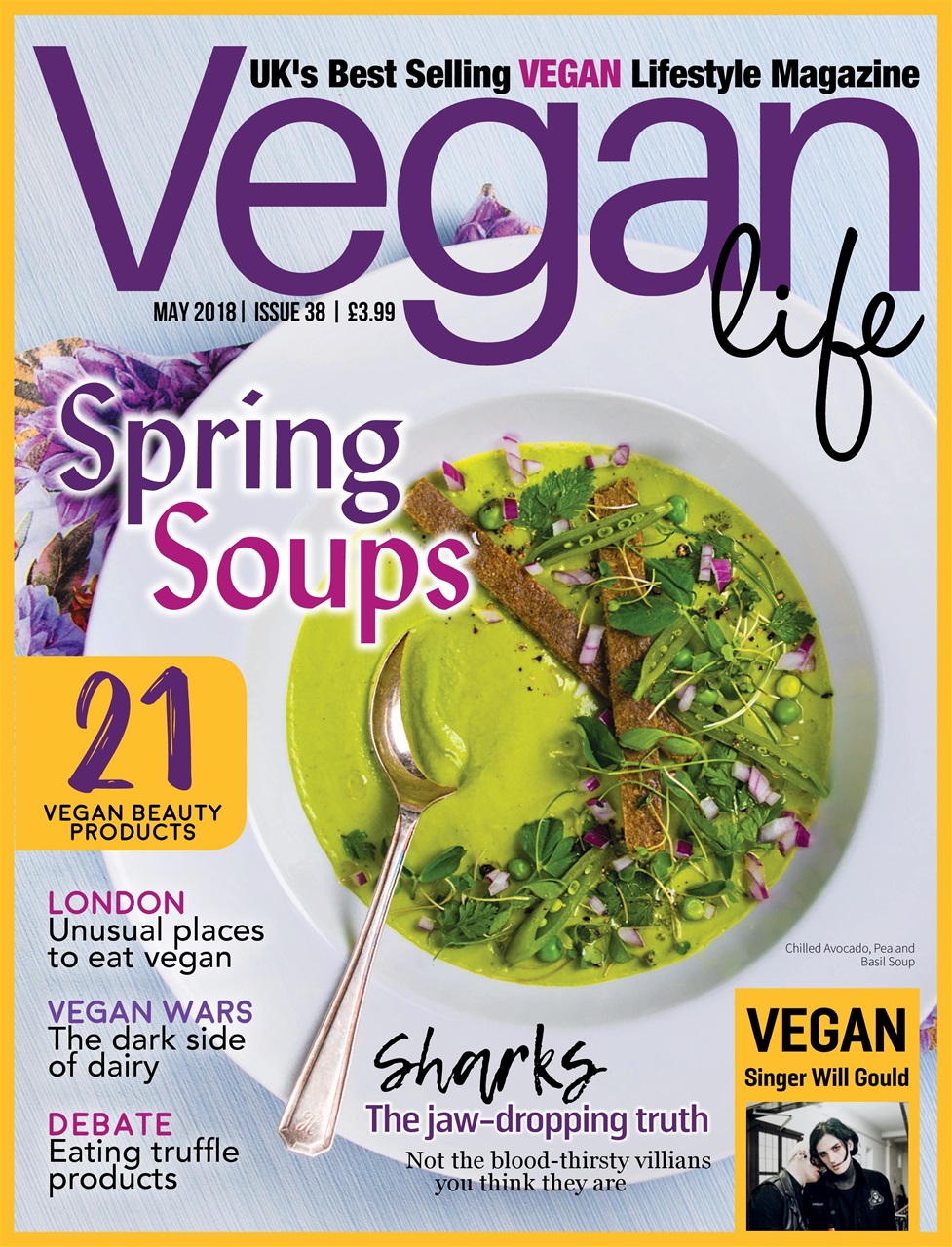 Vegan Life Preview Pages