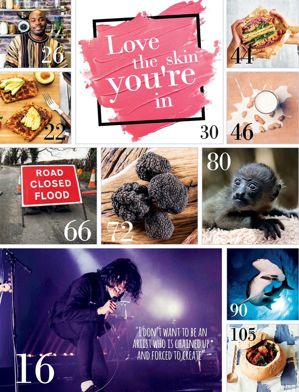 Vegan Life Preview Pages