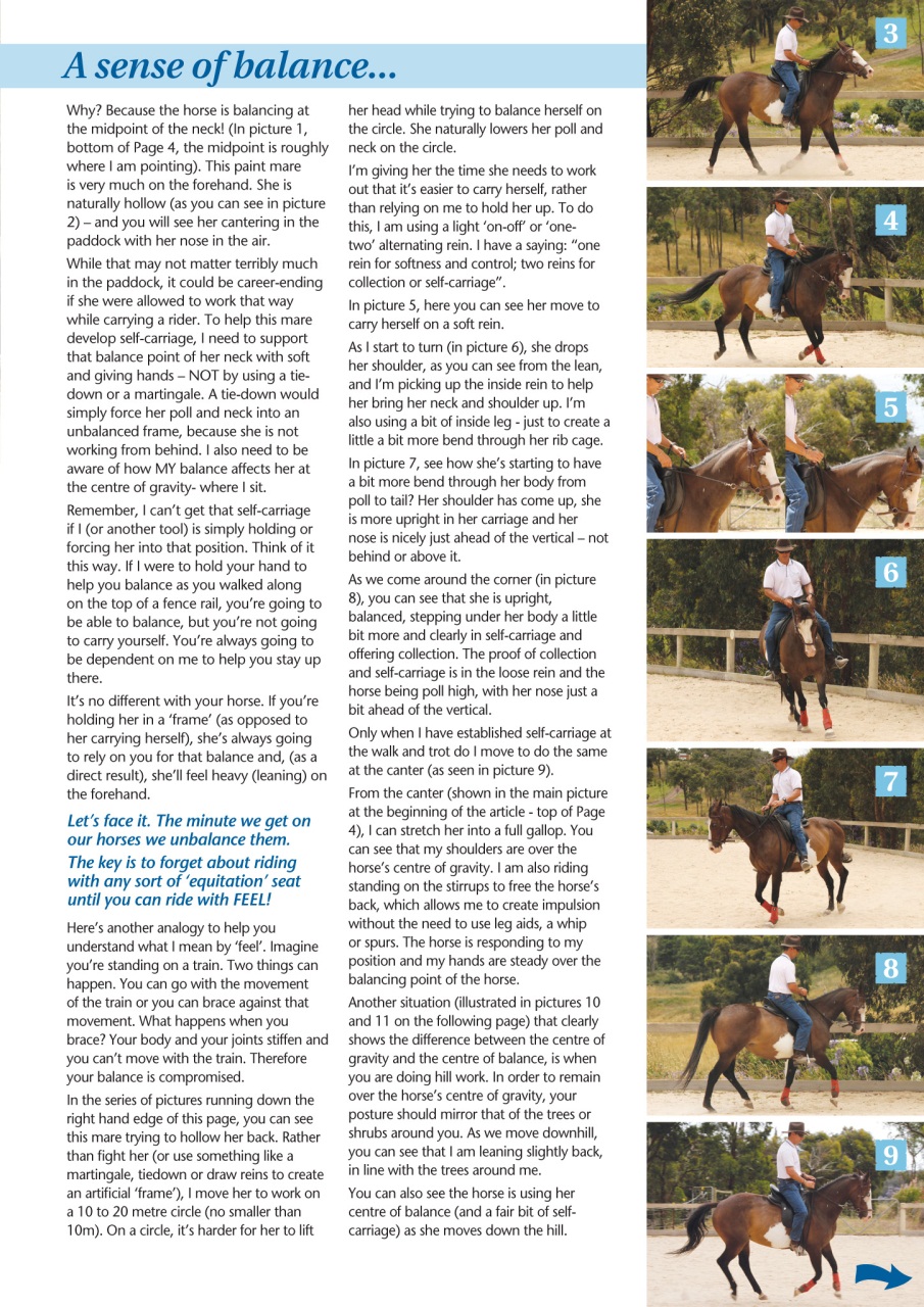 HorseWyse Magazine Preview Pages