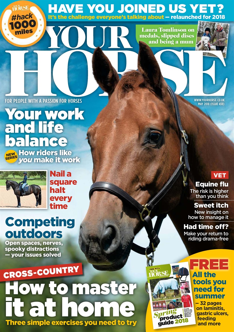 Your Horse Preview Pages