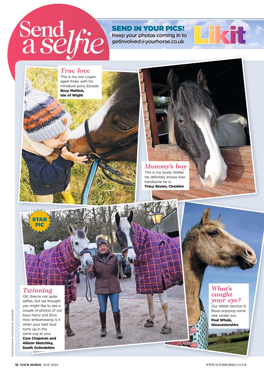 Your Horse Preview Pages