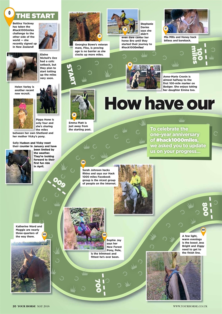 Your Horse Preview Pages