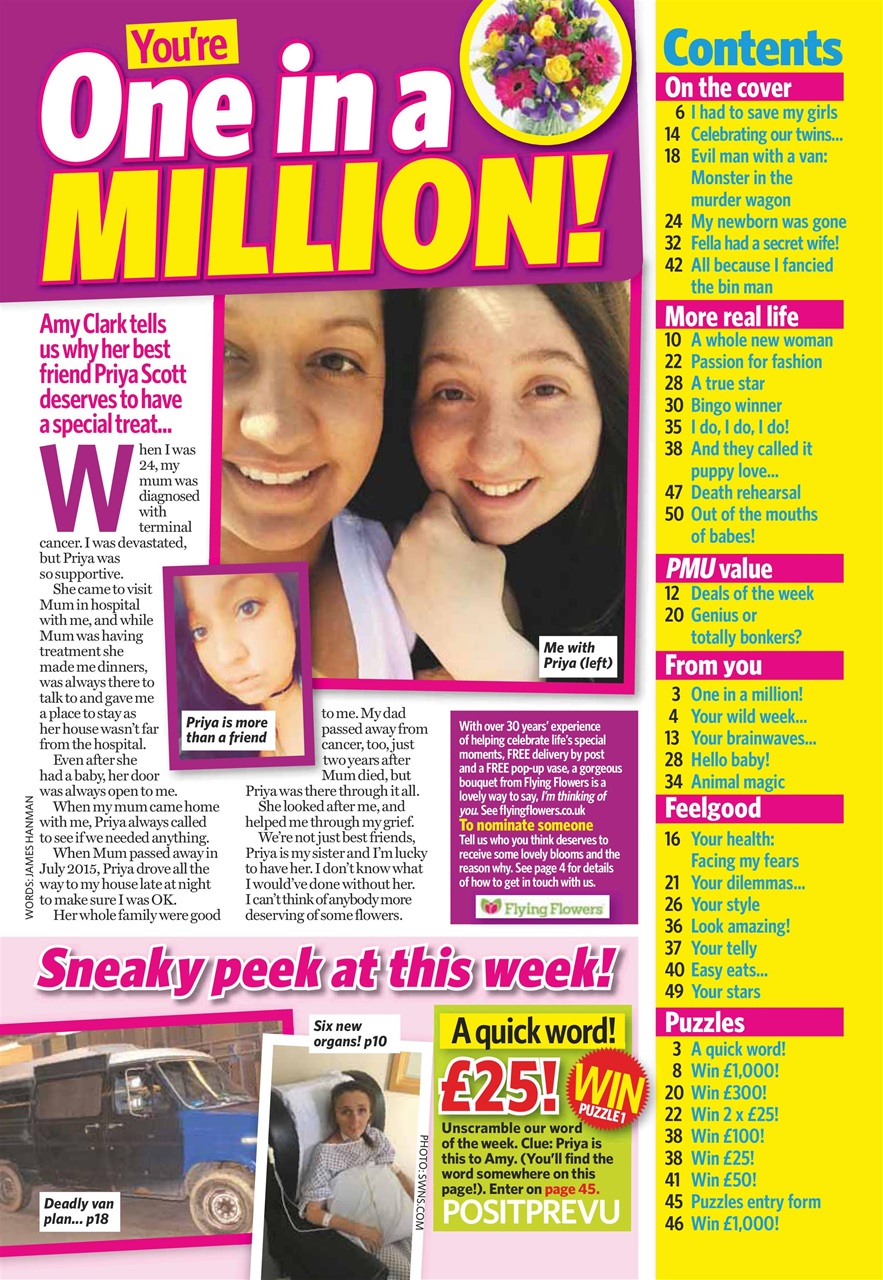 Pick Me Up Preview Pages