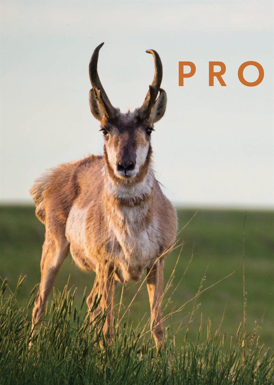 Canadian Geographic Preview Pages