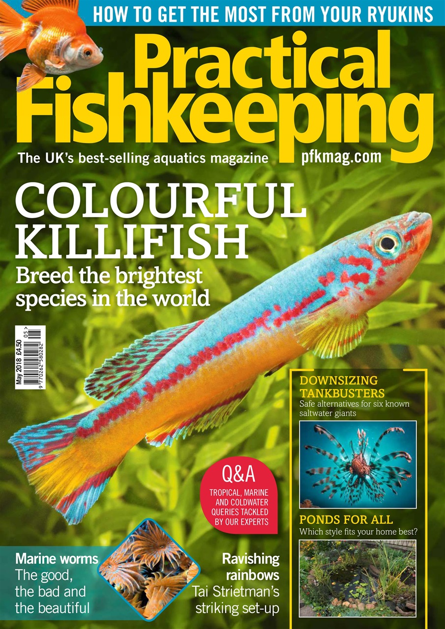 Practical Fishkeeping Preview Pages