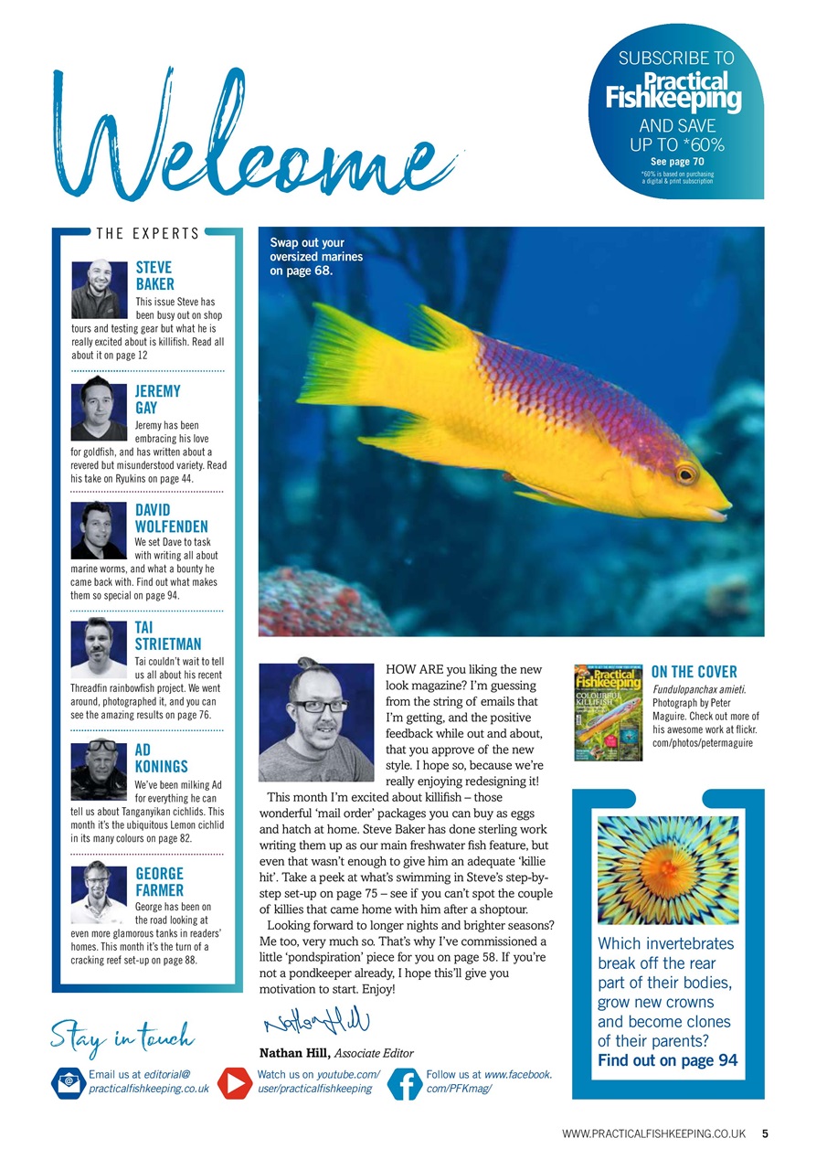 Practical Fishkeeping Preview Pages