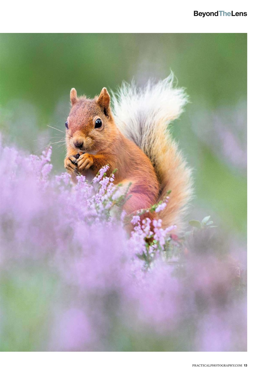 Practical Photography Preview Pages