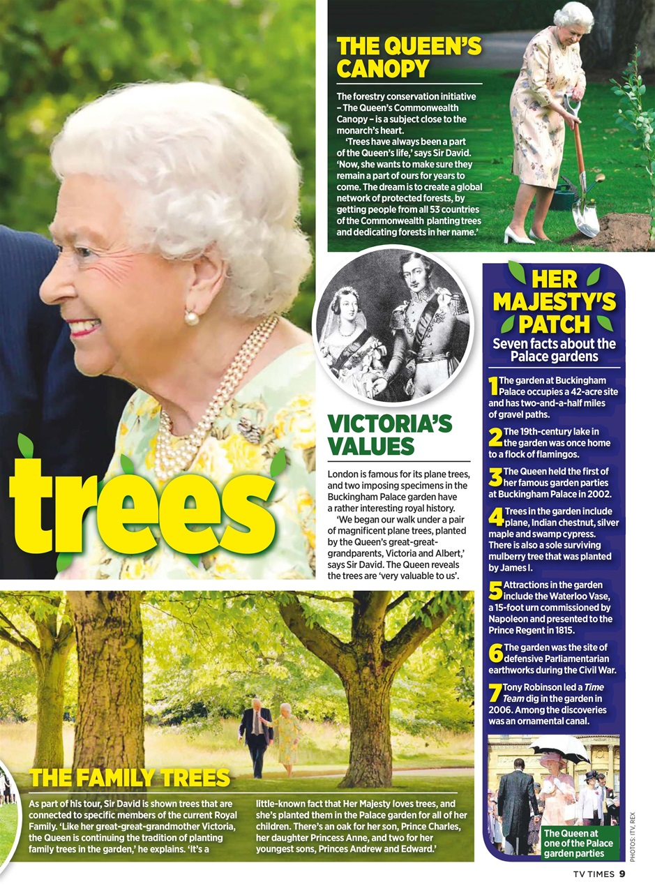 TV Times Preview Pages