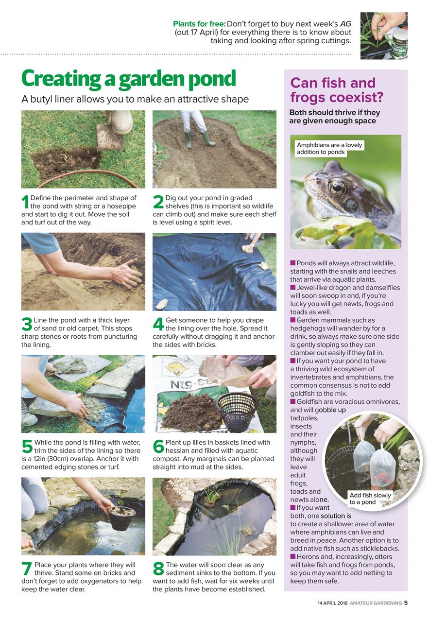 Amateur Gardening Preview Pages
