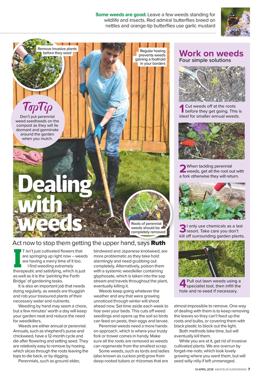 Amateur Gardening Preview Pages
