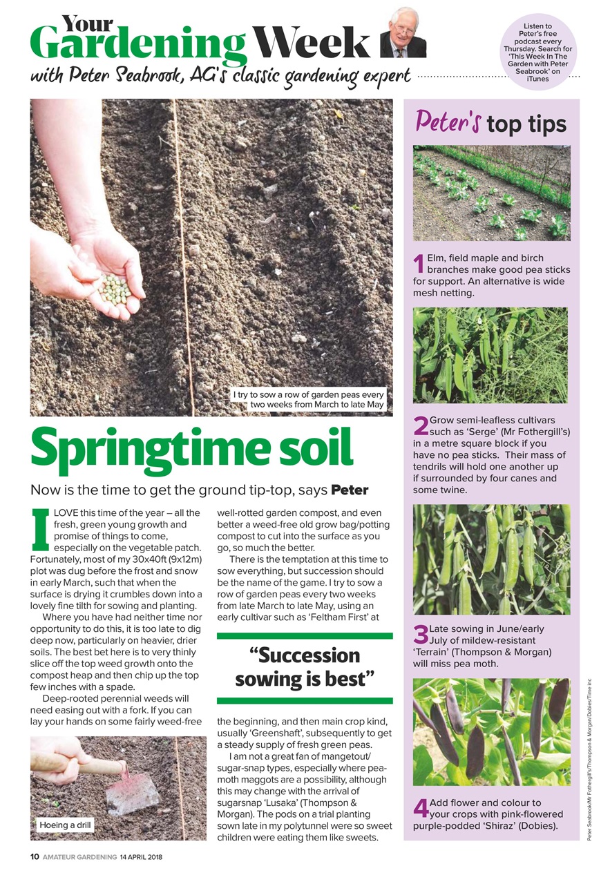 Amateur Gardening Preview Pages