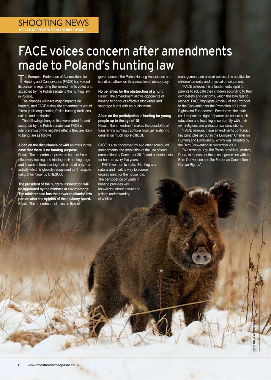 Rifle Shooter Preview Pages