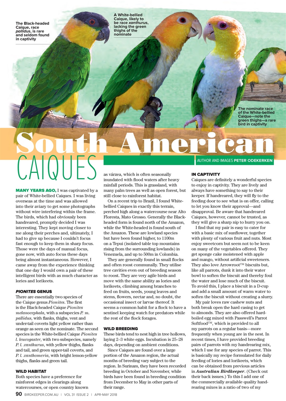 Australian Birdkeeper Magazine Preview Pages