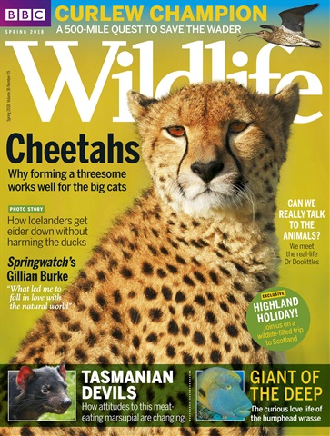 BBC Wildlife Magazine issue Spring2018