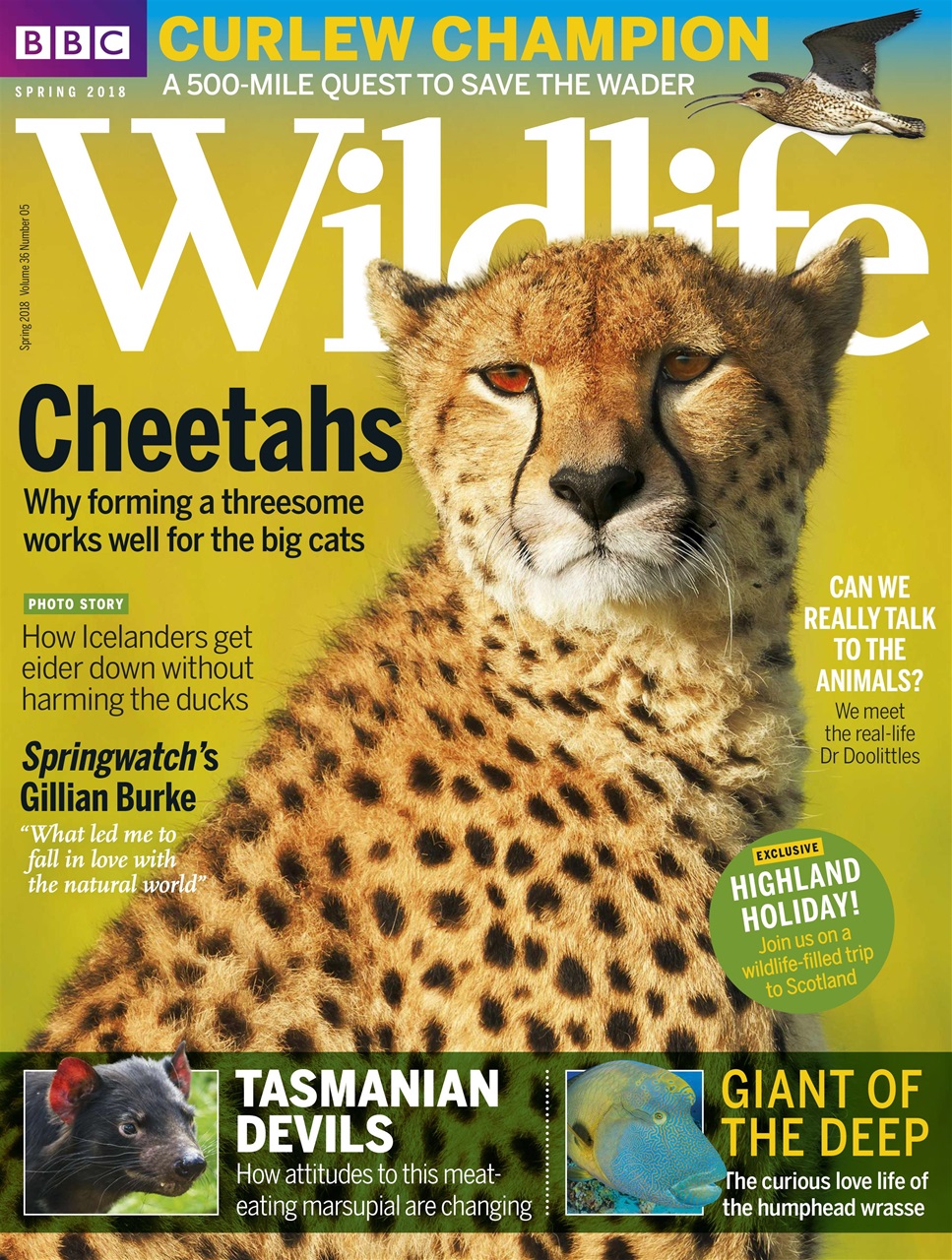 BBC Wildlife Magazine Preview Pages