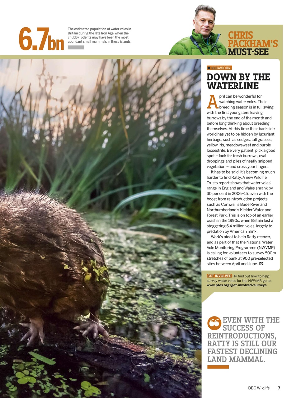 BBC Wildlife Magazine Preview Pages