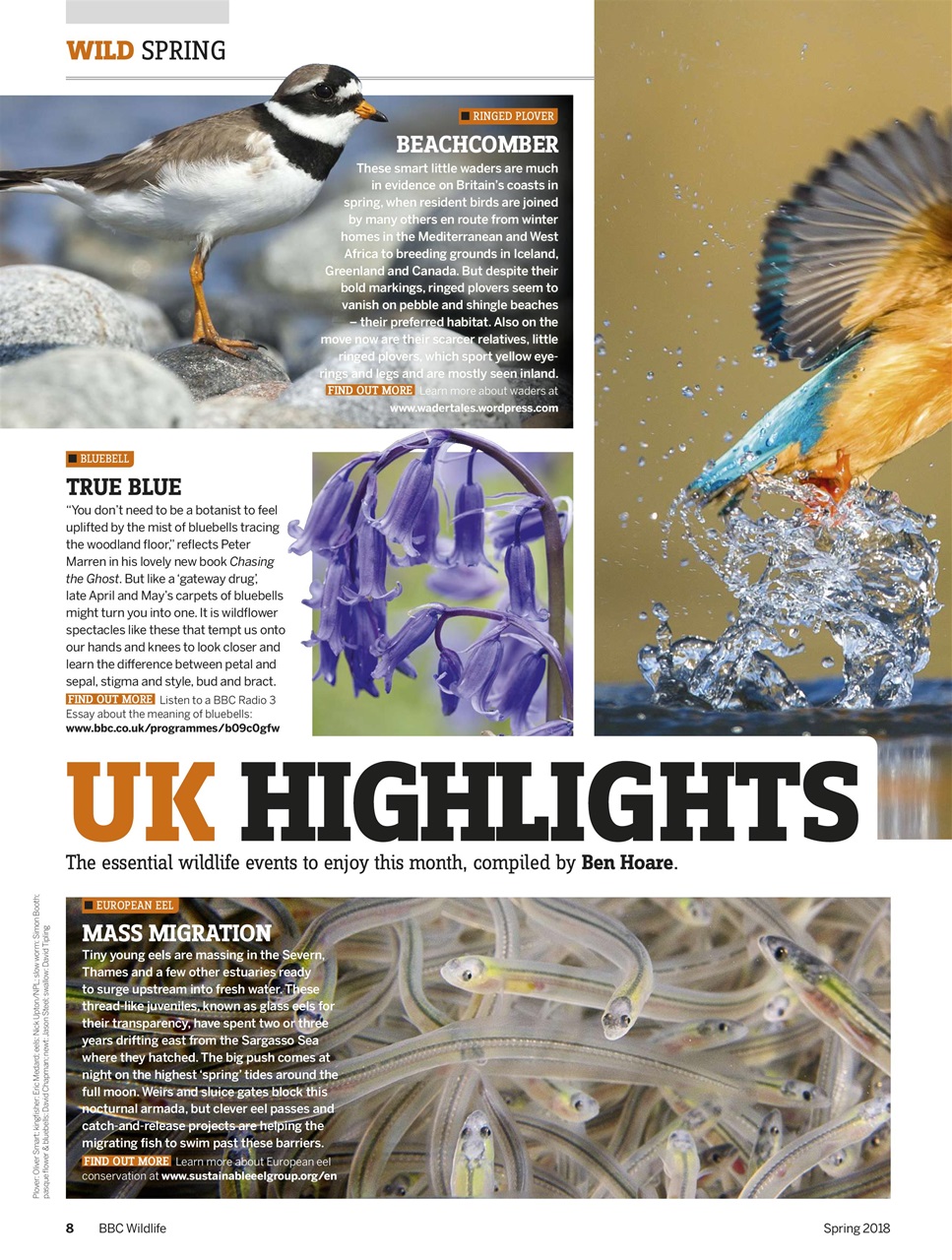 BBC Wildlife Magazine Preview Pages