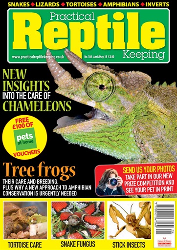 Practical Reptile Keeping issue 