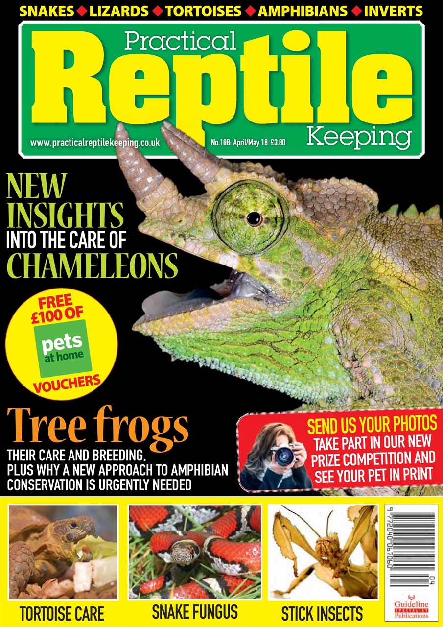 Practical Reptile Keeping Preview Pages