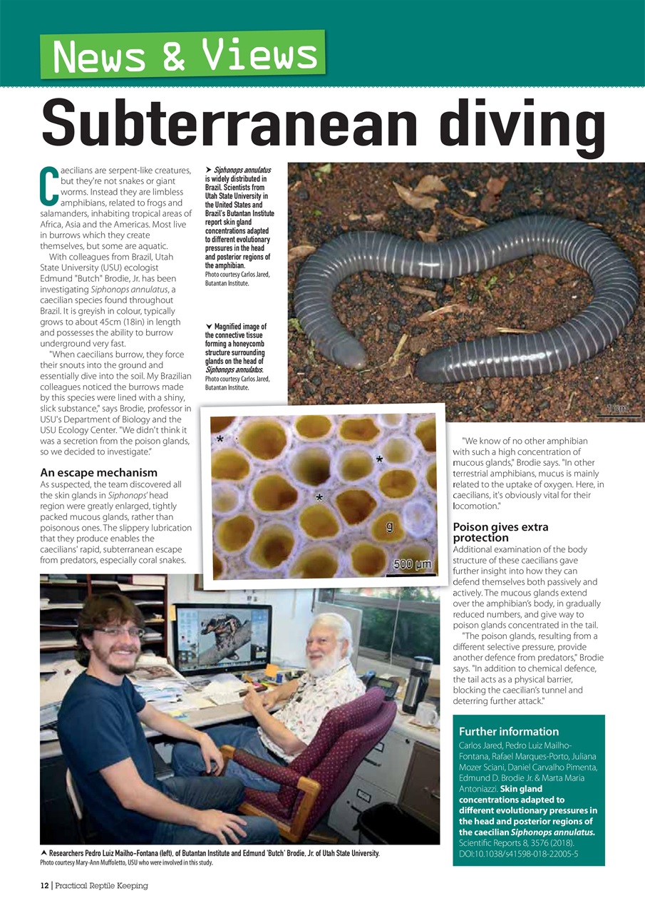 Practical Reptile Keeping Preview Pages