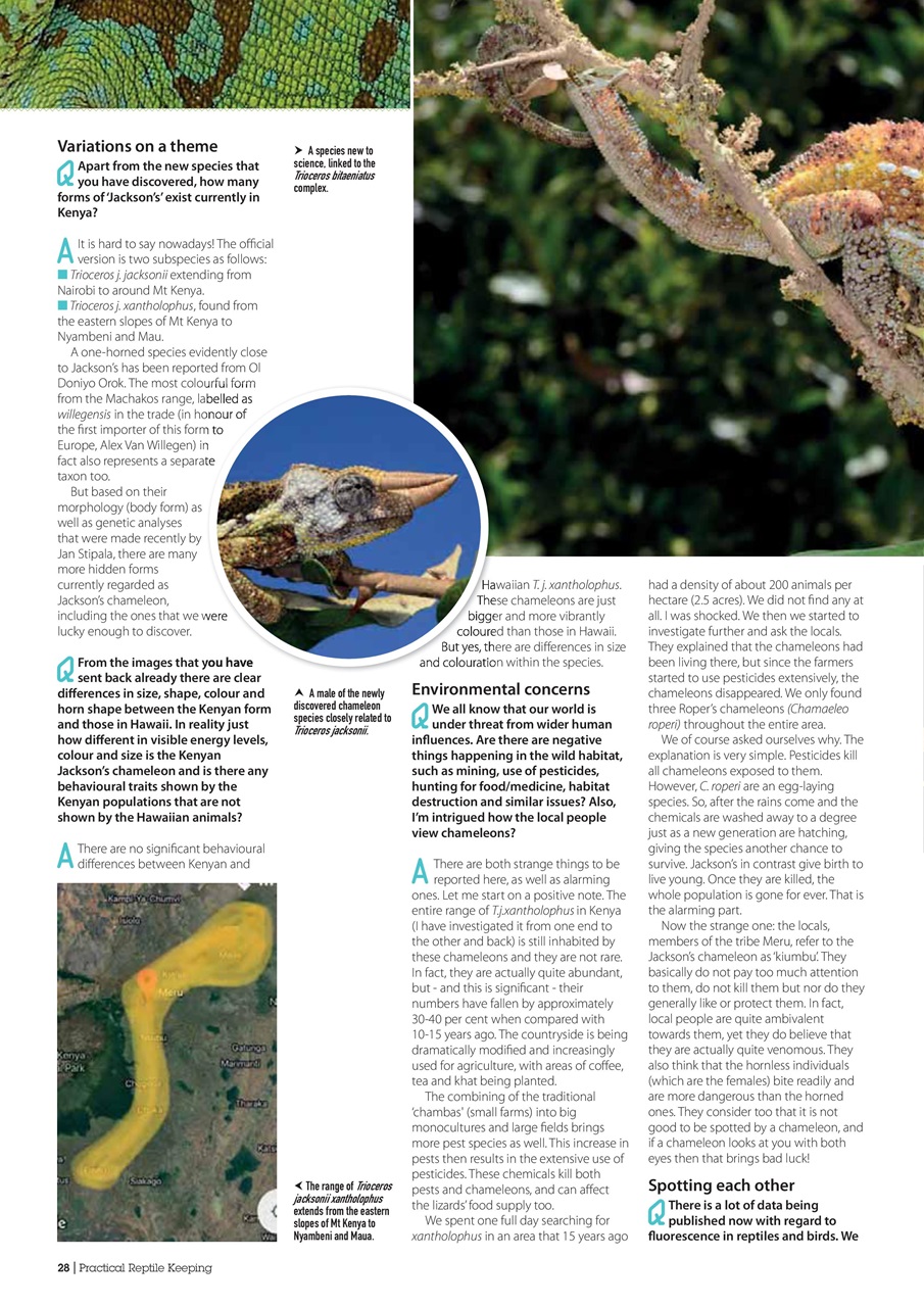 Practical Reptile Keeping Preview Pages